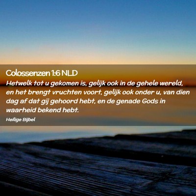 Picture 02 - Colossenzen 1:6 NLD - Hetwelk tot u gekomen is, gelijk ook in de gehele - Bible Verse Picture