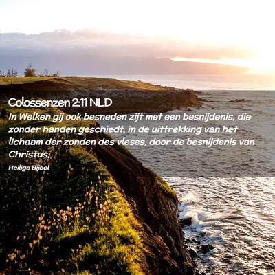 Picture 02 - Colossenzen 2:11 NLD - In Welken gij ook besneden zijt met een - Bible Verse Picture
