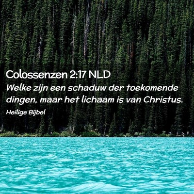 Picture 02 - Colossenzen 2:17 NLD - Welke zijn een schaduw der toekomende dingen, - Bible Verse Picture