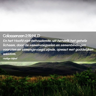 Picture 02 - Colossenzen 2:19 NLD - En het Hoofd niet behoudende, uit hetwelk het - Bible Verse Picture