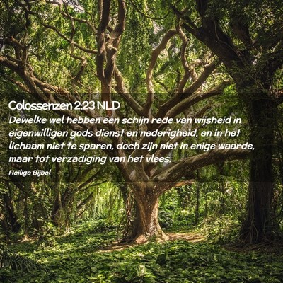Picture 02 - Colossenzen 2:23 NLD - Dewelke wel hebben een schijn rede van wijsheid - Bible Verse Picture