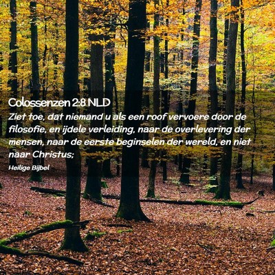 Picture 02 - Colossenzen 2:8 NLD - Ziet toe, dat niemand u als een roof vervoere - Bible Verse Picture