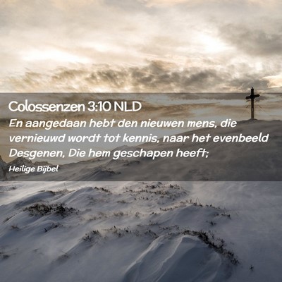 Picture 02 - Colossenzen 3:10 NLD - En aangedaan hebt den nieuwen mens, die vernieuwd - Bible Verse Picture