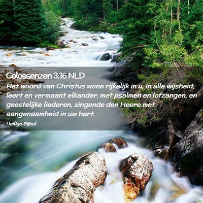 Picture 02 - Colossenzen 3:16 NLD - Het woord van Christus wone rijkelijk in u, in - Bible Verse Picture