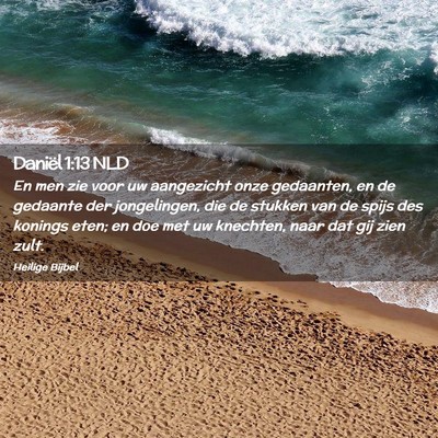 Picture 02 - Daniël 1:13 NLD - En men zie voor uw aangezicht onze gedaanten, en - Bible Verse Picture