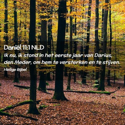 Picture 02 - Daniël 11:1 NLD - Ik nu, ik stond in het eerste jaar van Darius, - Bible Verse Picture