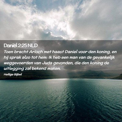 Picture 02 - Daniël 2:25 NLD - Toen bracht Arioch met haast Daniel voor den - Bible Verse Picture