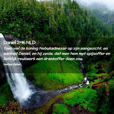 Picture 02 - Daniël 2:46 NLD - Toen viel de koning Nebukadnezar op zijn - Bible Verse Picture