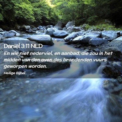 Picture 02 - Daniël 3:11 NLD - En wie niet nederviel, en aanbad, die zou in het - Bible Verse Picture