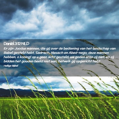 Picture 02 - Daniël 3:12 NLD - Er zijn Joodse mannen, die gij over de bediening - Bible Verse Picture