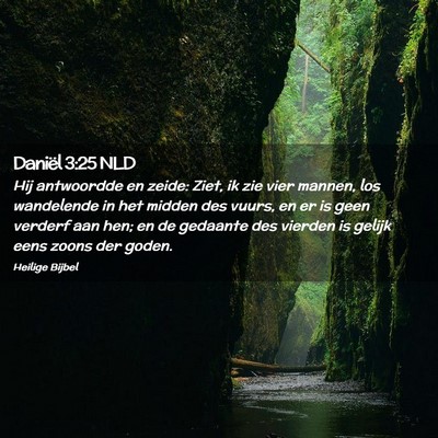 Picture 02 - Daniël 3:25 NLD - Hij antwoordde en zeide: Ziet, ik zie vier - Bible Verse Picture