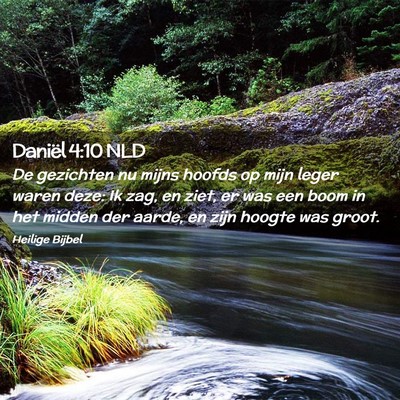 Picture 02 - Daniël 4:10 NLD - De gezichten nu mijns hoofds op mijn leger waren - Bible Verse Picture