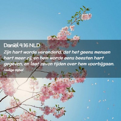 Picture 02 - Daniël 4:16 NLD - Zijn hart worde veranderd, dat het geens mensen - Bible Verse Picture