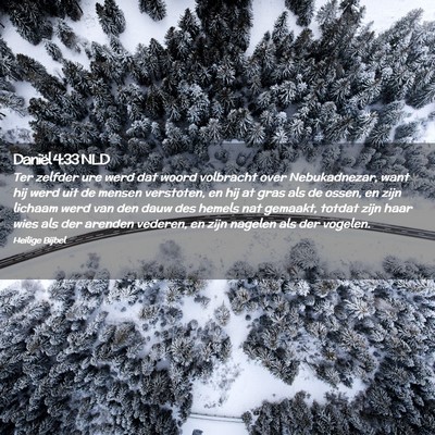 Picture 02 - Daniël 4:33 NLD - Ter zelfder ure werd dat woord volbracht over - Bible Verse Picture