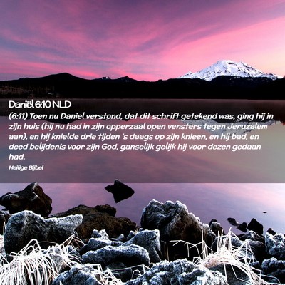 Picture 02 - Daniël 6:10 NLD - (6:11) Toen nu Daniel verstond, dat dit schrift - Bible Verse Picture