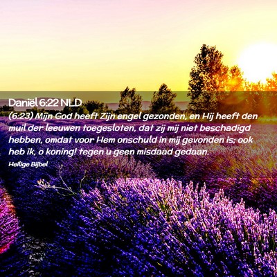 Picture 02 - Daniël 6:22 NLD - (6:23) Mijn God heeft Zijn engel gezonden, en Hij - Bible Verse Picture