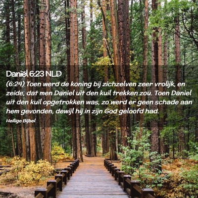Picture 02 - Daniël 6:23 NLD - (6:24) Toen werd de koning bij zichzelven zeer - Bible Verse Picture