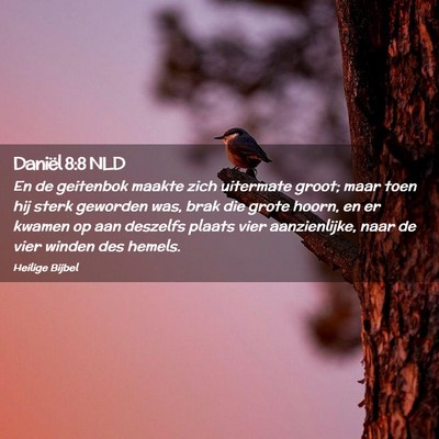 Picture 02 - Daniël 8:8 NLD - En de geitenbok maakte zich uitermate groot; maar - Bible Verse Picture