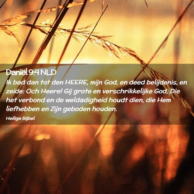 Picture 02 - Daniël 9:4 NLD - Ik bad dan tot den HEERE, mijn God, en deed - Bible Verse Picture