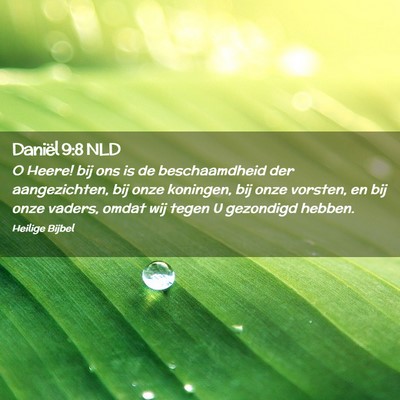 Picture 02 - Daniël 9:8 NLD - O Heere! bij ons is de beschaamdheid der - Bible Verse Picture