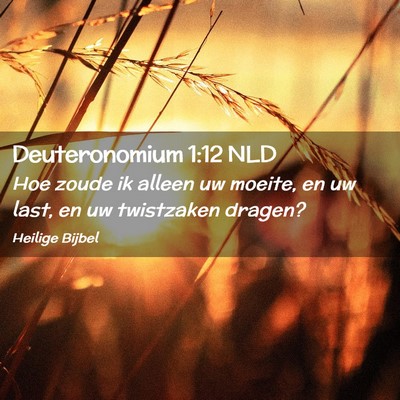 Picture 02 - Deuteronomium 1:12 NLD - Hoe zoude ik alleen uw moeite, en uw last, en uw - Bible Verse Picture