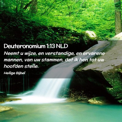 Picture 02 - Deuteronomium 1:13 NLD - Neemt u wijze, en verstandige, en ervarene - Bible Verse Picture