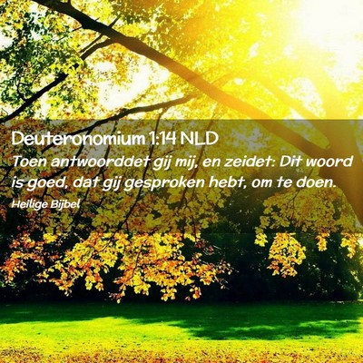 Picture 02 - Deuteronomium 1:14 NLD - Toen antwoorddet gij mij, en zeidet: Dit woord is - Bible Verse Picture