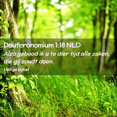 Picture 02 - Deuteronomium 1:18 NLD - Alzo gebood ik u te dier tijd alle zaken, die gij - Bible Verse Picture