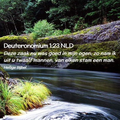 Picture 02 - Deuteronomium 1:23 NLD - Deze zaak nu was goed in mijn ogen; zo nam ik uit - Bible Verse Picture