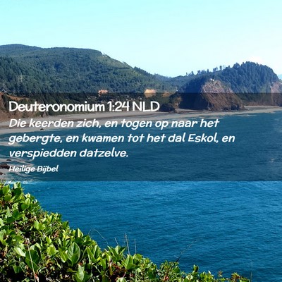 Picture 02 - Deuteronomium 1:24 NLD - Die keerden zich, en togen op naar het gebergte, - Bible Verse Picture