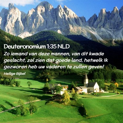 Picture 02 - Deuteronomium 1:35 NLD - Zo iemand van deze mannen, van dit kwade - Bible Verse Picture
