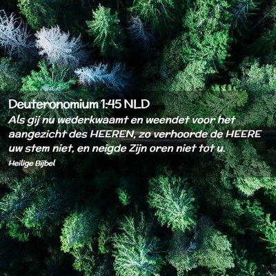 Picture 02 - Deuteronomium 1:45 NLD - Als gij nu wederkwaamt en weendet voor het - Bible Verse Picture