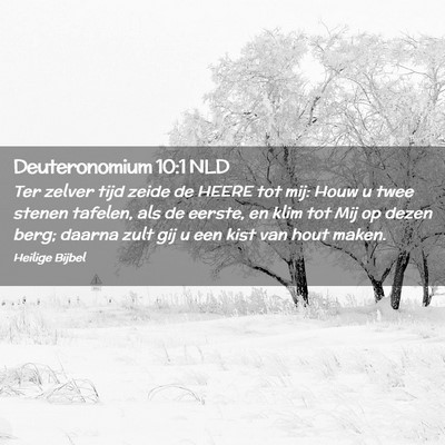 Picture 02 - Deuteronomium 10:1 NLD - Ter zelver tijd zeide de HEERE tot mij: Houw u - Bible Verse Picture