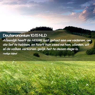 Picture 02 - Deuteronomium 10:15 NLD - Alleenlijk heeft de HEERE lust gehad aan uw - Bible Verse Picture