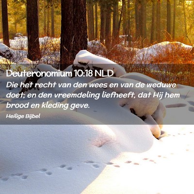 Picture 02 - Deuteronomium 10:18 NLD - Die het recht van den wees en van de weduwe doet; - Bible Verse Picture