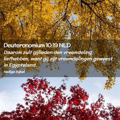 Picture 02 - Deuteronomium 10:19 NLD - Daarom zult gijlieden den vreemdeling liefhebben, - Bible Verse Picture