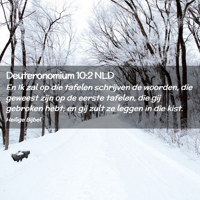 Picture 02 - Deuteronomium 10:2 NLD - En Ik zal op die tafelen schrijven de woorden, - Bible Verse Picture