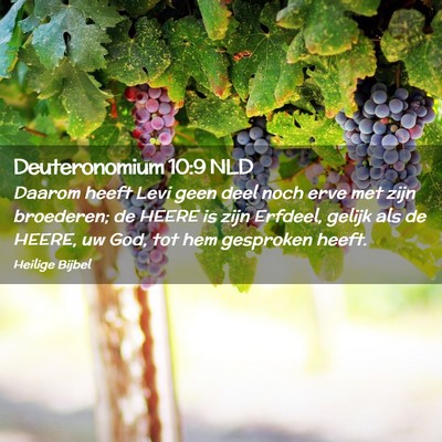 Picture 02 - Deuteronomium 10:9 NLD - Daarom heeft Levi geen deel noch erve met zijn - Bible Verse Picture