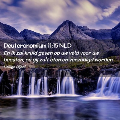 Picture 02 - Deuteronomium 11:15 NLD - En Ik zal kruid geven op uw veld voor uw beesten; - Bible Verse Picture