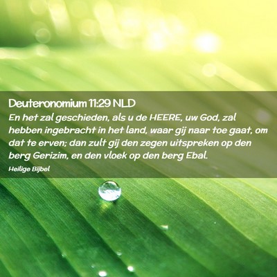 Picture 02 - Deuteronomium 11:29 NLD - En het zal geschieden, als u de HEERE, uw God, - Bible Verse Picture