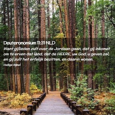 Picture 02 - Deuteronomium 11:31 NLD - Want gijlieden zult over de Jordaan gaan, dat gij - Bible Verse Picture