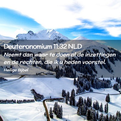 Picture 02 - Deuteronomium 11:32 NLD - Neemt dan waar te doen al de inzettingen en de - Bible Verse Picture