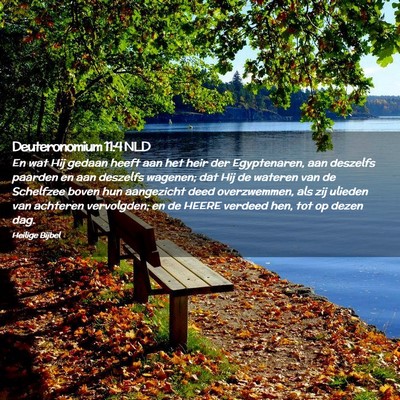 Picture 02 - Deuteronomium 11:4 NLD - En wat Hij gedaan heeft aan het heir der - Bible Verse Picture