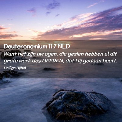 Picture 02 - Deuteronomium 11:7 NLD - Want het zijn uw ogen, die gezien hebben al dit - Bible Verse Picture