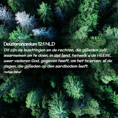 Picture 02 - Deuteronomium 12:1 NLD - Dit zijn de inzettingen en de rechten, die - Bible Verse Picture