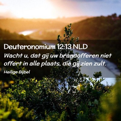 Picture 02 - Deuteronomium 12:13 NLD - Wacht u, dat gij uw brandofferen niet offert in - Bible Verse Picture