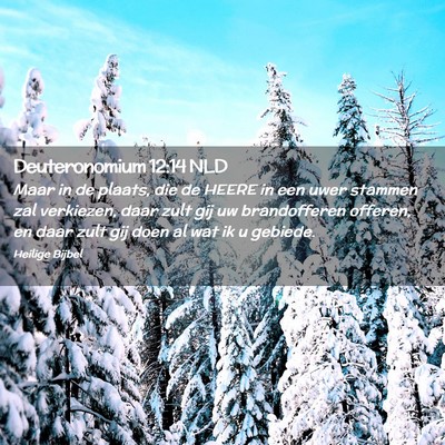 Picture 02 - Deuteronomium 12:14 NLD - Maar in de plaats, die de HEERE in een uwer - Bible Verse Picture