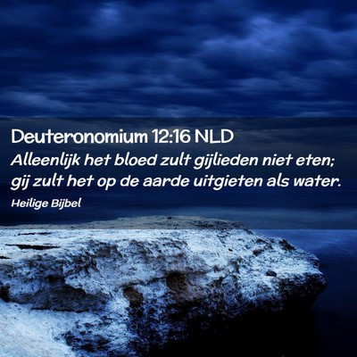 Picture 02 - Deuteronomium 12:16 NLD - Alleenlijk het bloed zult gijlieden niet eten; - Bible Verse Picture