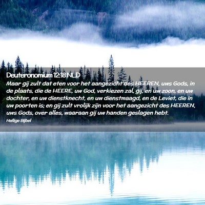 Picture 02 - Deuteronomium 12:18 NLD - Maar gij zult dat eten voor het aangezicht des - Bible Verse Picture