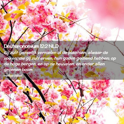 Picture 02 - Deuteronomium 12:2 NLD - Gij zult ganselijk vernielen al de plaatsen, - Bible Verse Picture